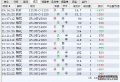 南方恒生指数ETF联接I